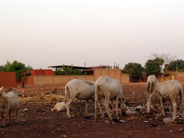 Bobodioulasso, in background centre "Jigi Semé"
