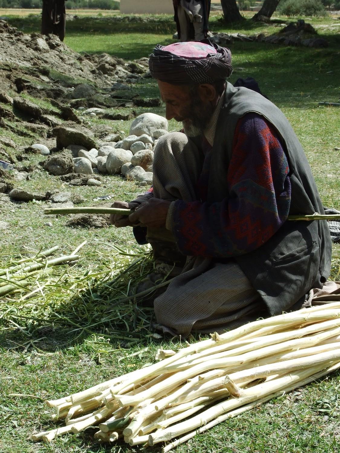 Old man with paralyzed leg cleaning willow sticks for roof