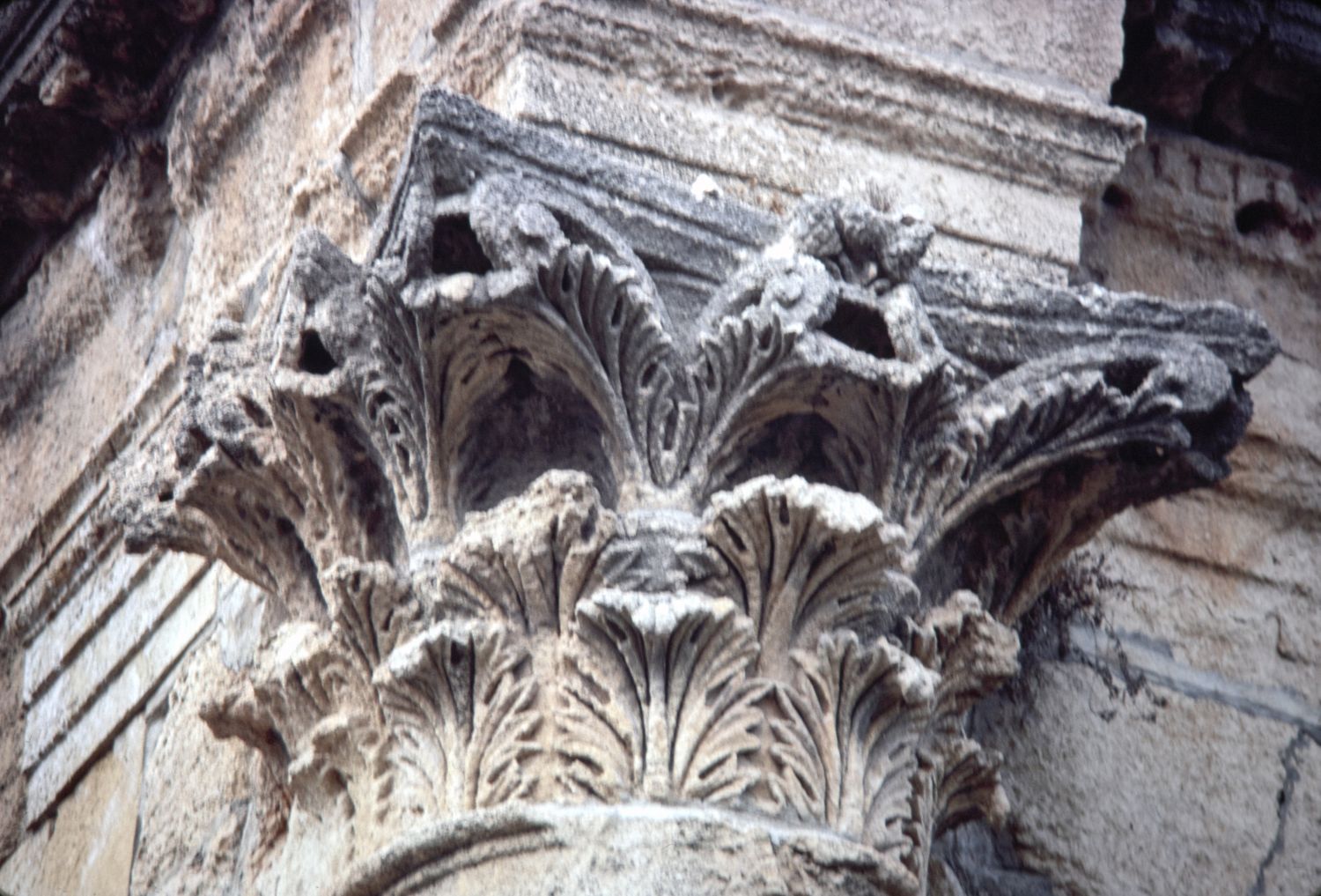 Detail view of Corinthian column capital.