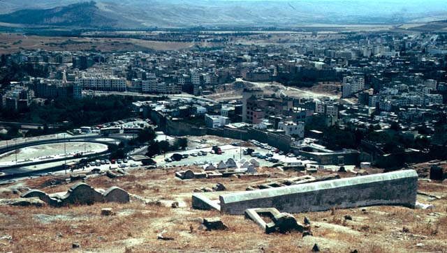 View of Fes from Marinid Tombs
