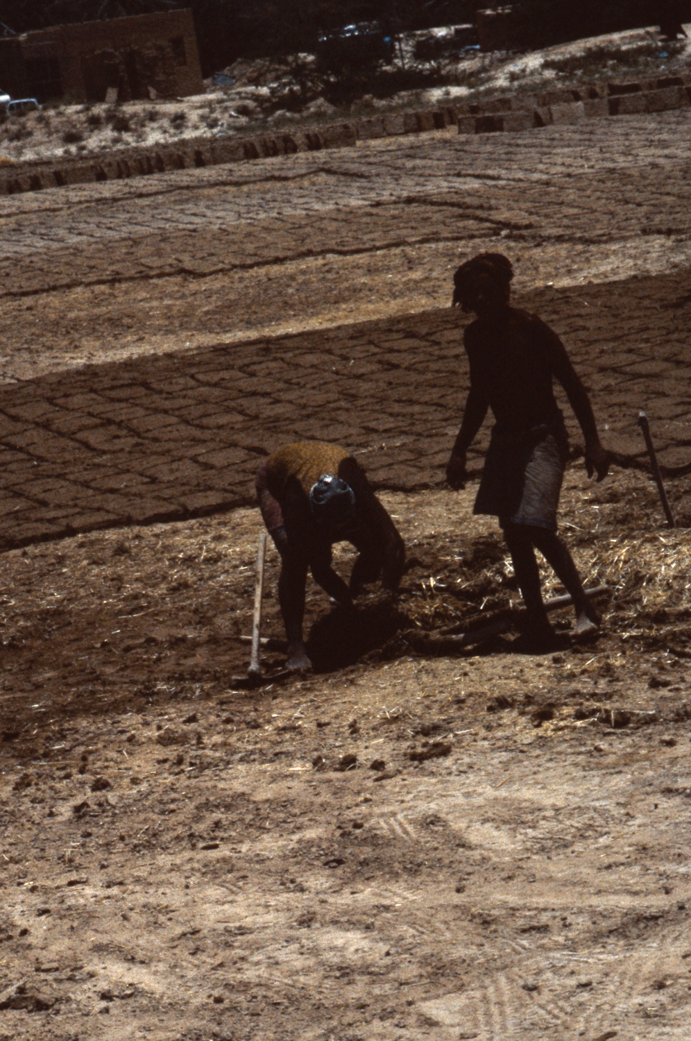 Peggy Crawford - Hadramaut. Close up on two laborers making mud bricks