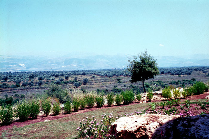 Site panoramic view