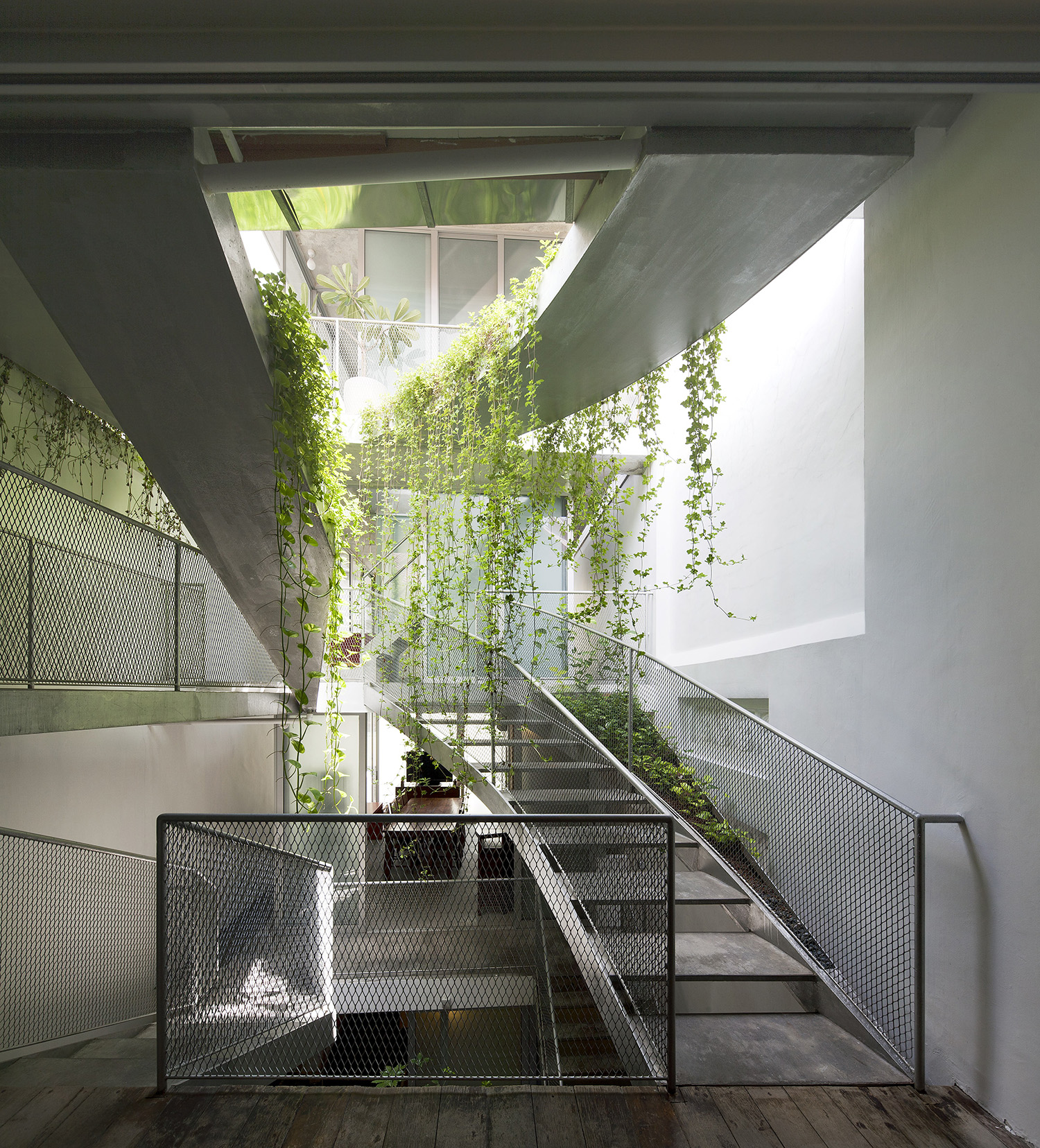 Unit 11 - central courtyard open to the sky, mesh stairs with overhanging creepers 