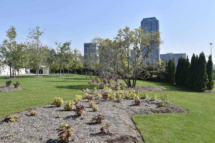 Aga Khan Park, Toronto - Grass patch and planting on a slight incline