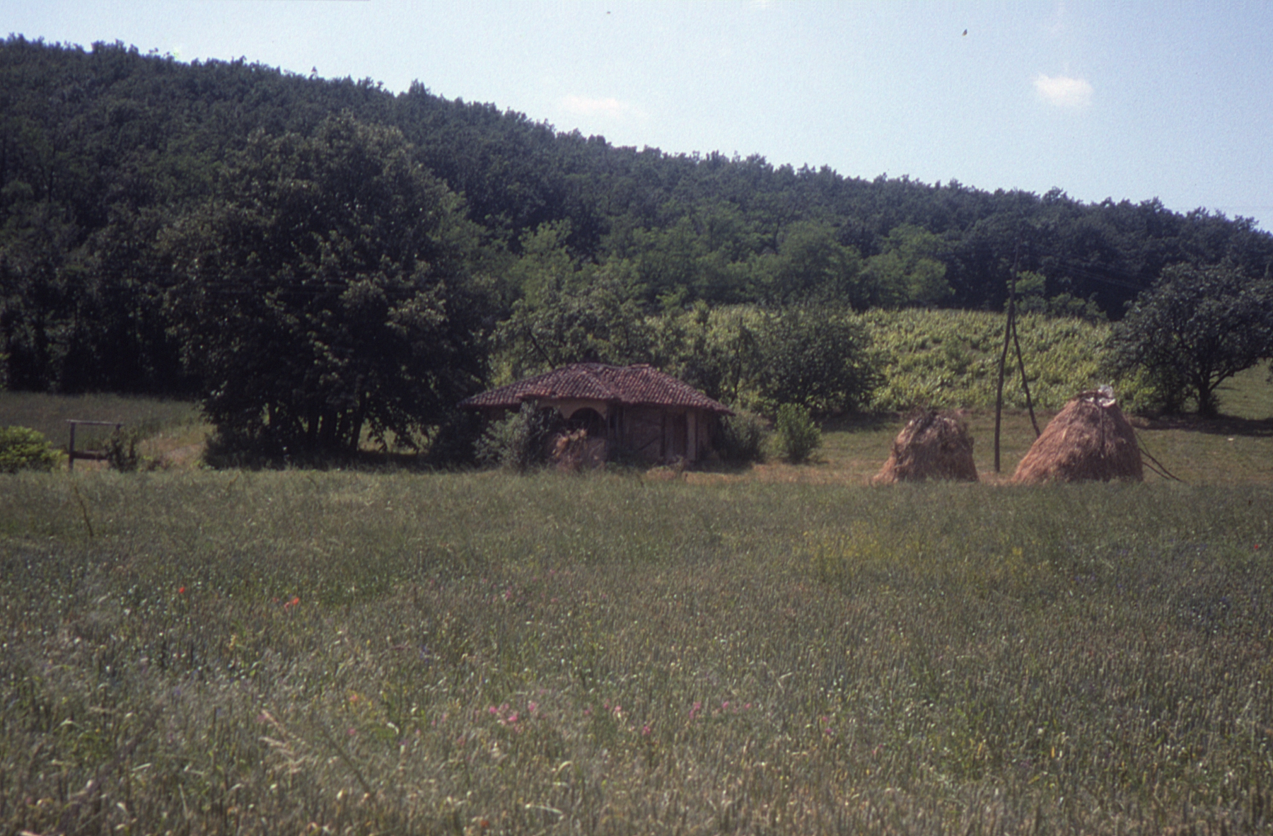 <p>North of village of Vratarnica, close to the larger town of Grljan, are fields and pastures that still contain small single story dwellings constructed using bondruk.</p><p><br></p><p>This dwelling contains a protecting porch element that is made of wood frame with walls infilled with wattle and daub and the characteristic arched openings. The planted fields and haystacks show that work still occurs and the simple structure has some continuing use.</p>