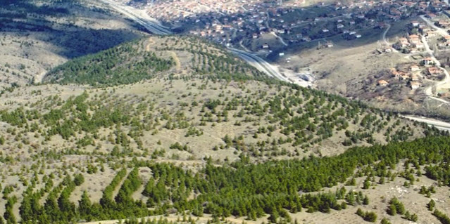 Middle East Technical University Reforestation Program - <p>08. Middle East Technical University Reforestation Program, Ankara, Turkey</p>