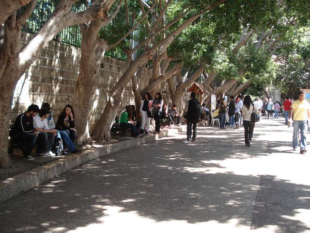 American University Campus - Public spaces