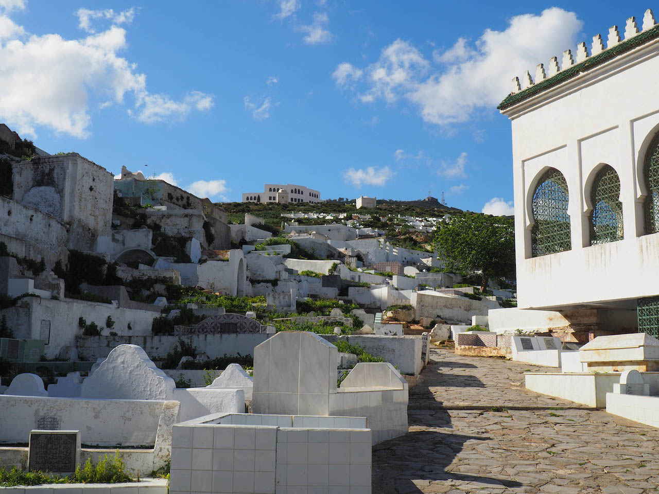 <p>View up the hill from near the mausoleum</p>