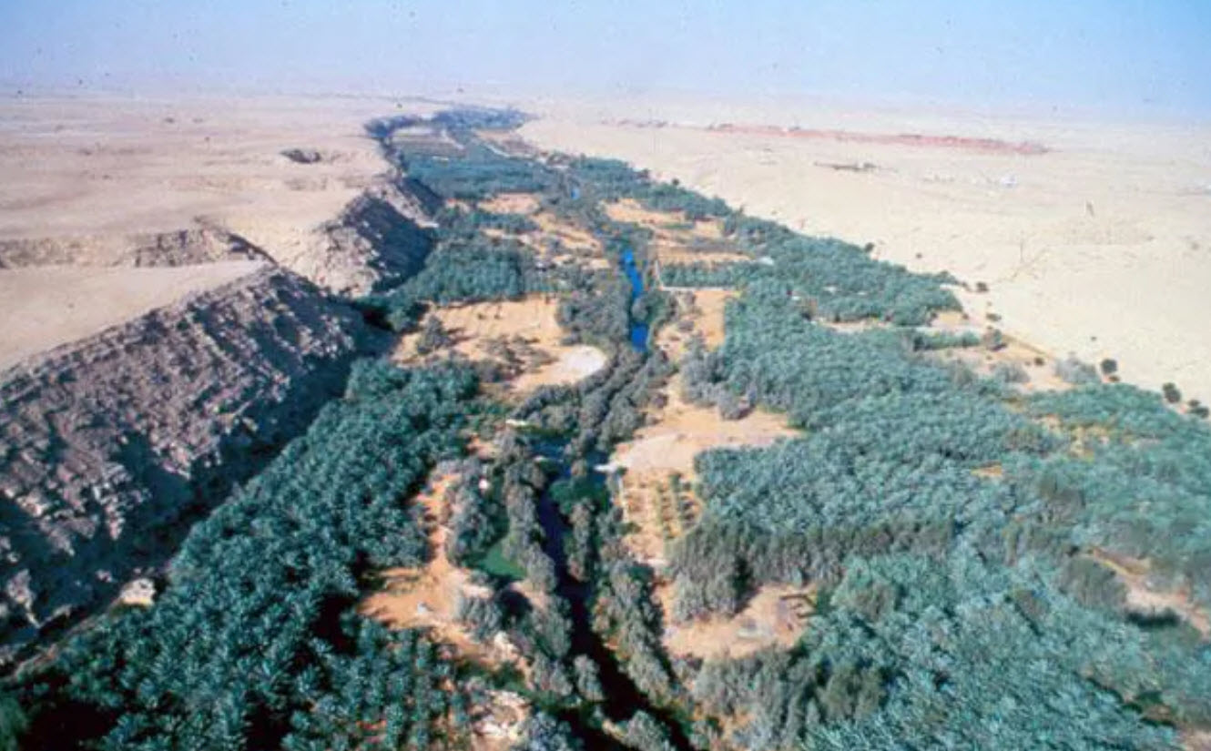 Wadi Hanifa Wetlands - <p>07. Introduction to Co-existing with the Surrounding Natural Context</p>