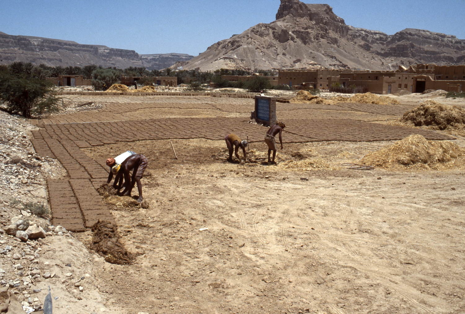 Peggy Crawford - Hadramaut. General view of laborers making mud bricks outside a village
