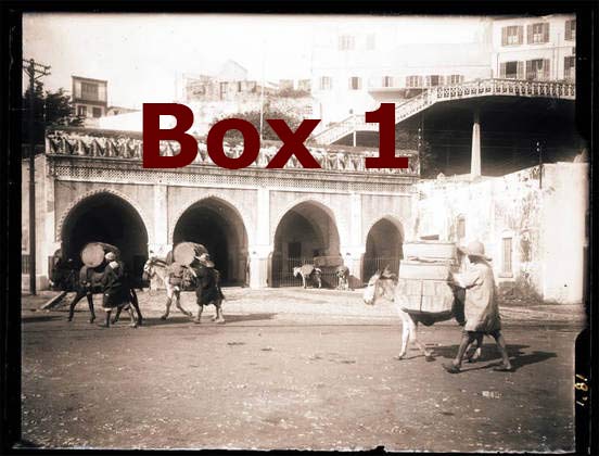 Box 1 - International Tangier