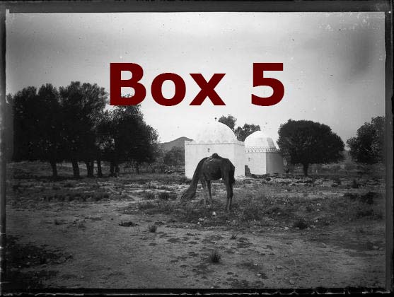 Box 5 - International Tangier