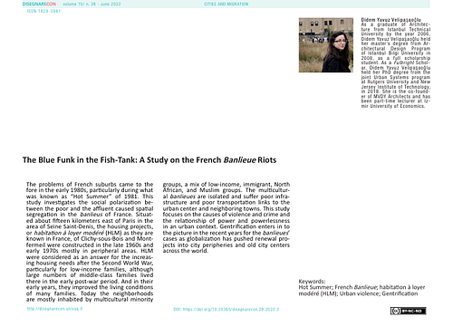 The Blue Funk in the Fish-Tank: A Study on the French Banlieue Riots