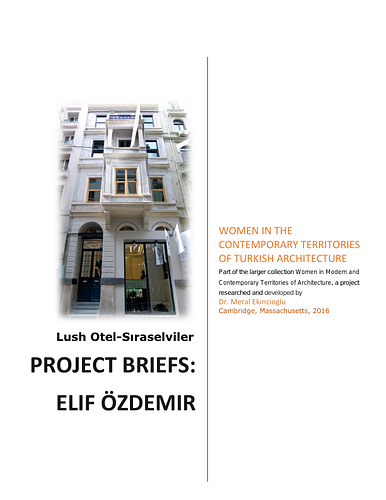 Elif Özdemir Project Briefs: Lush Otel-Sıraselviler