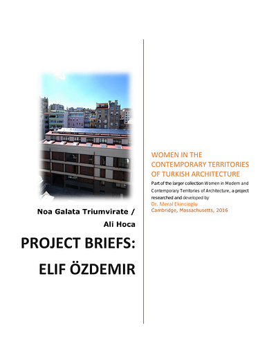 Elif Özdemir Project Briefs: Noa Galata Triumvirate / Ali Hoca