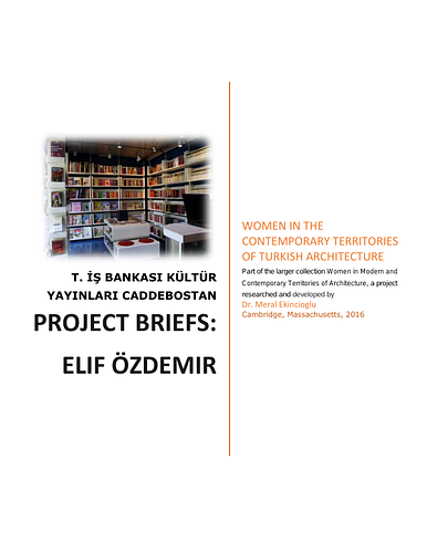 Elif Özdemir Project Briefs: Türkiye İş Bankası Kültür Yayınları 