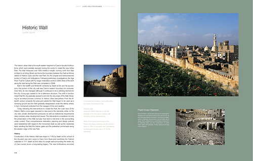 Ayyubid Historic Wall Conservation - Case study of "Historic Wall" from the Aga Khan Historic Cities Programme: Strategies for Urban Regeneration