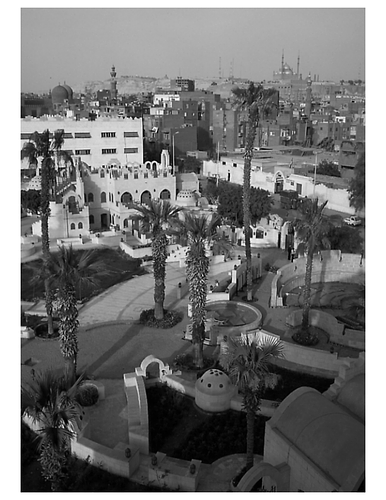 Culture, Environment, and Sustainability: Theoretical Notes and Reflection on a Community Park Project in Cairo