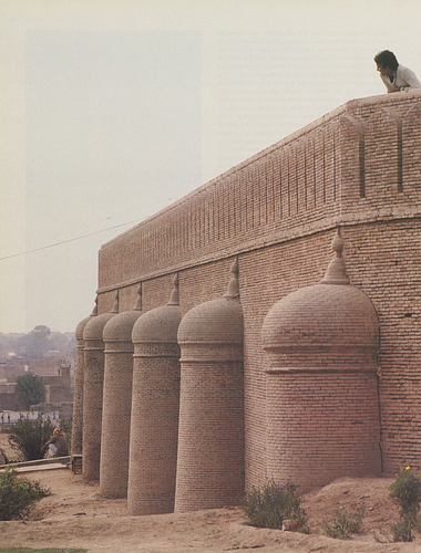 Tomb of Shah Rukh-I-Alam