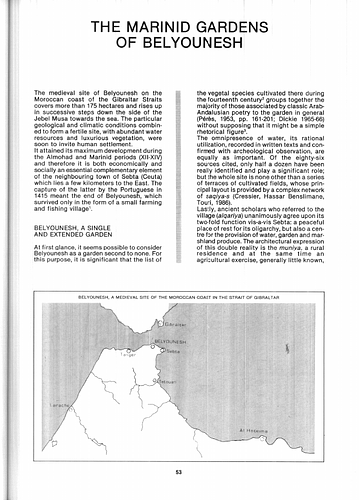 Attilio Petruccioli - Essay in Environmental Design, a journal dedicated to promoting and coordinating higher studies and research in the field of architecture, and urban and rural planning pertaining to the Islamic world.